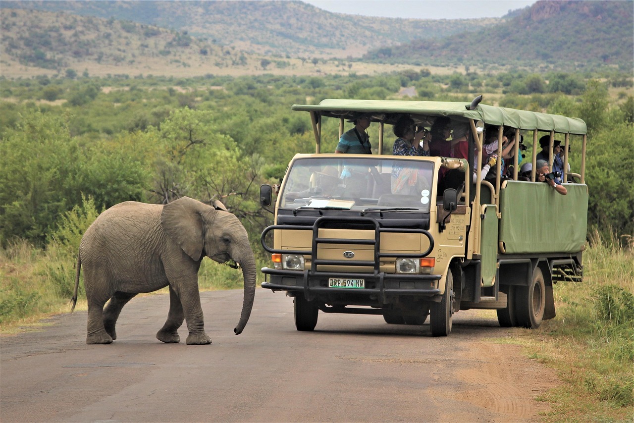 Realise your safari dream